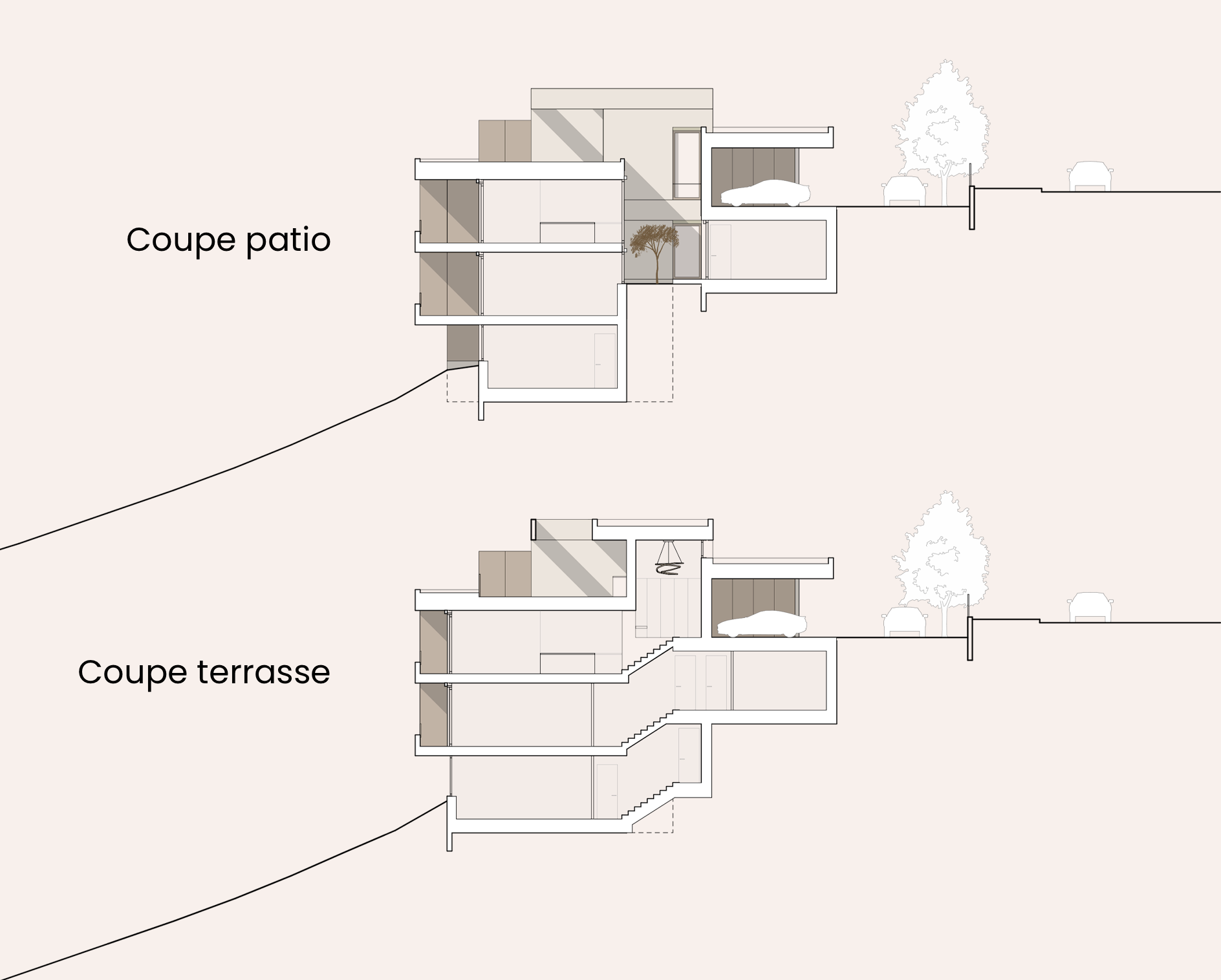 Coupe Patio et Terrasse de la promotion immobilière "Les Toits du Rhône"